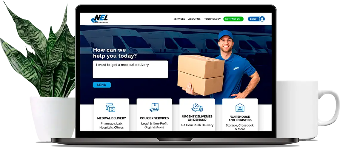 Diseño web para NEL